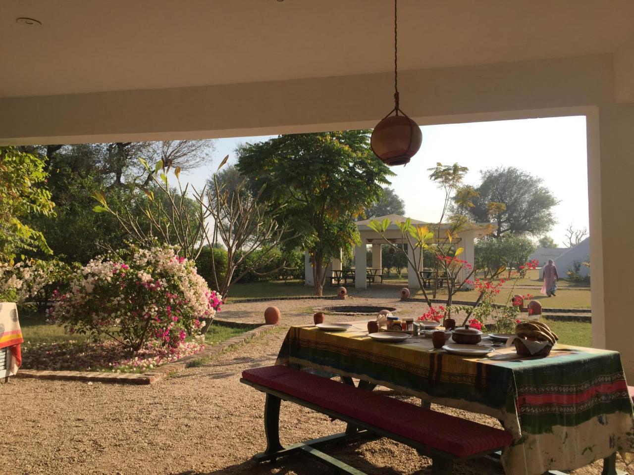 Hotel Savista Retreat Divisione di Divisione di Jaipur Esterno foto